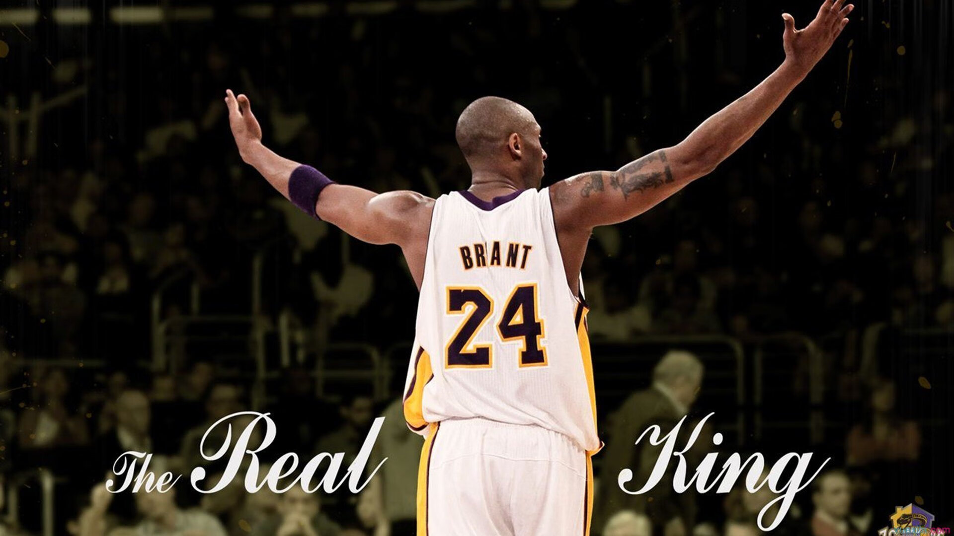 戴维斯杯险胜蒙特卡洛大师赛？阿尔卡拉斯用统治级表现定义网球新时代